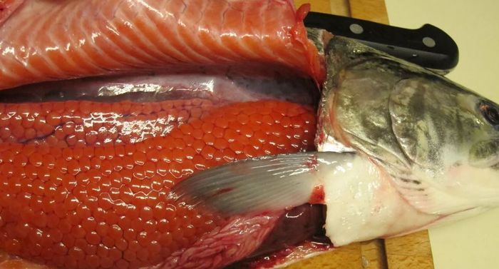 Рецепт засолки икры и филе рыбы