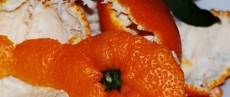 применение апельсиновых корок